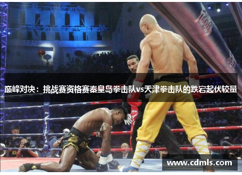巅峰对决：挑战赛资格赛秦皇岛拳击队vs天津拳击队的跌宕起伏较量
