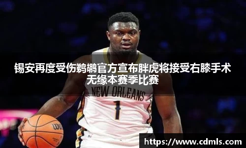 必一运动bsport体育